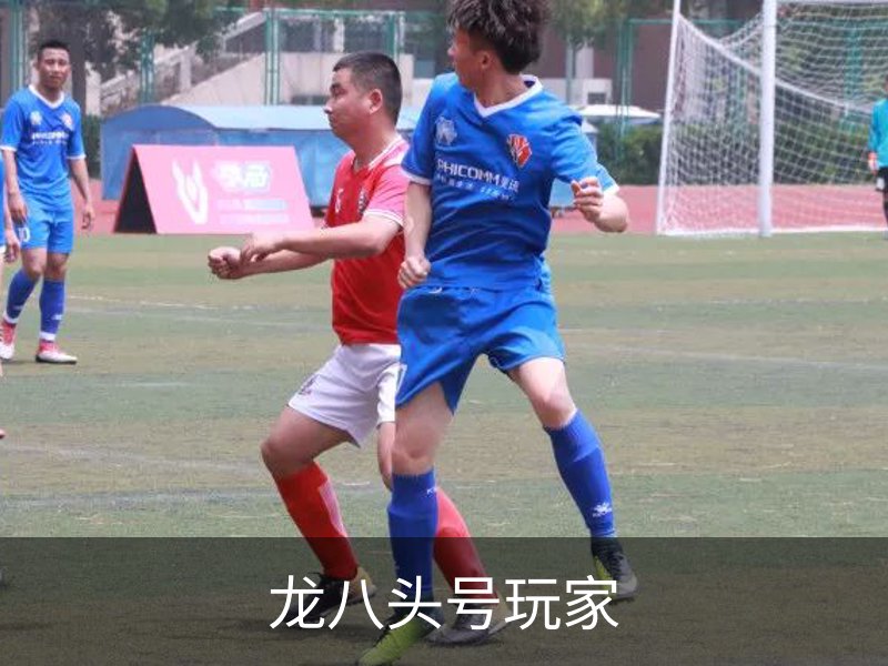 龙八头号玩家品牌故事